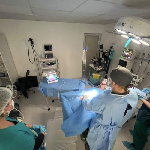 urología-avanzada